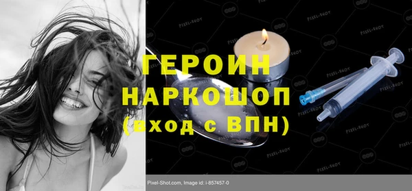 индика Надым