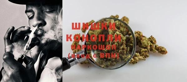 индика Надым