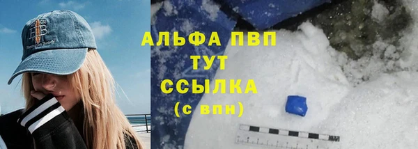 индика Надым