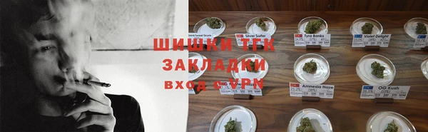 сатива Нея