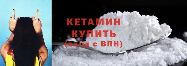 индика Надым