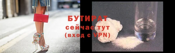 индика Надым