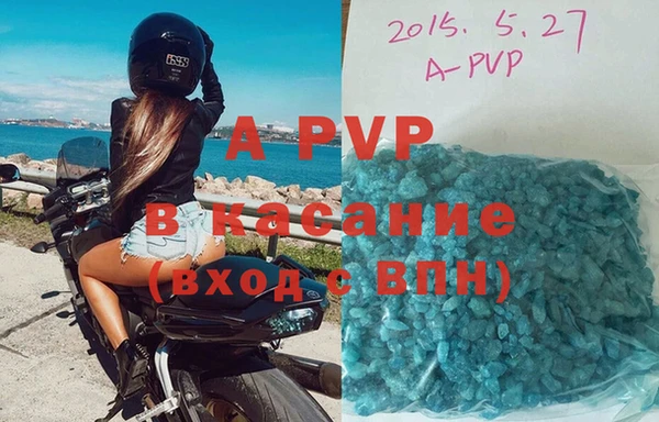 индика Надым