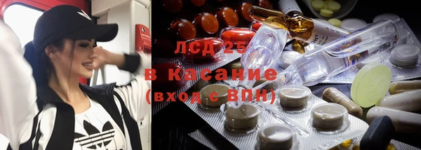сатива Нея
