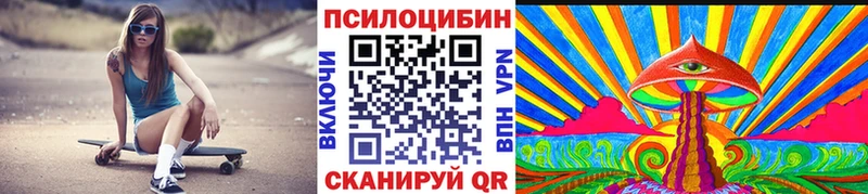 где купить Петушки Псилоцибиновые грибы мицелий
